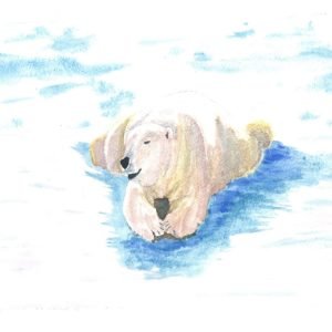 Watercolour cards