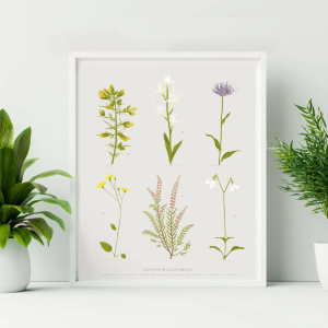 British wildflowers print