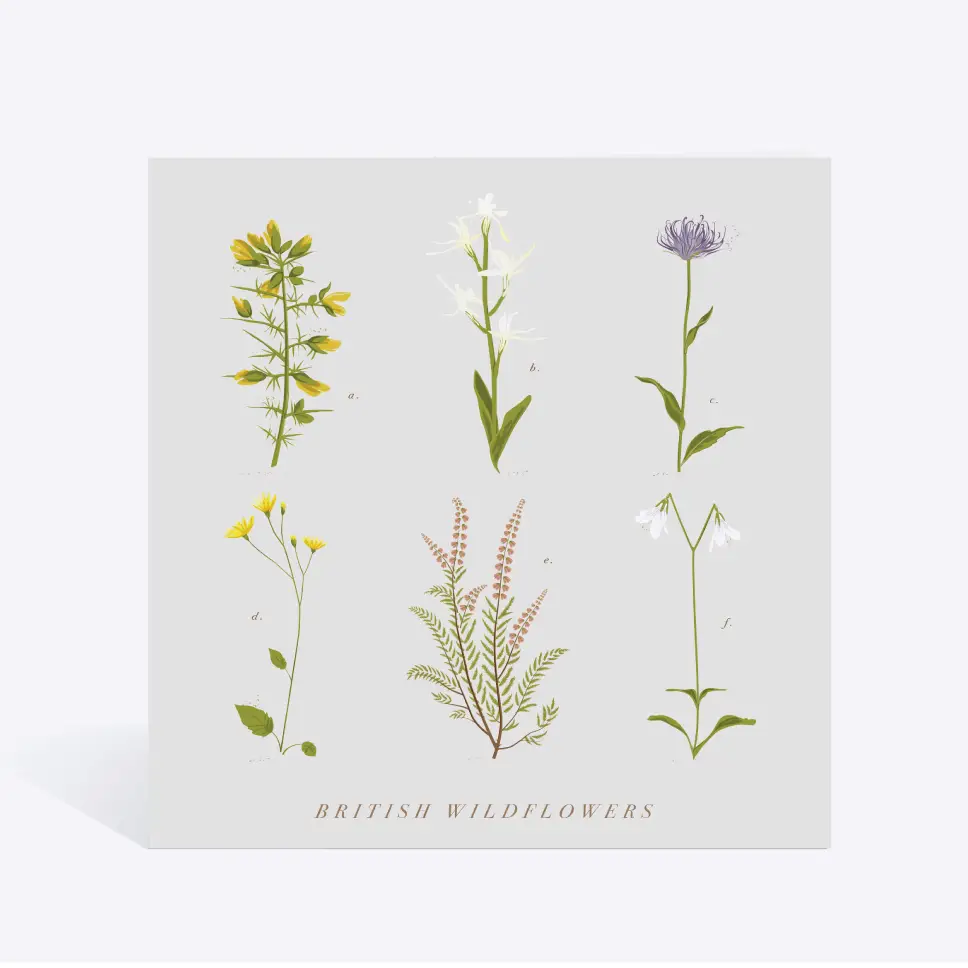 British wildflowers card