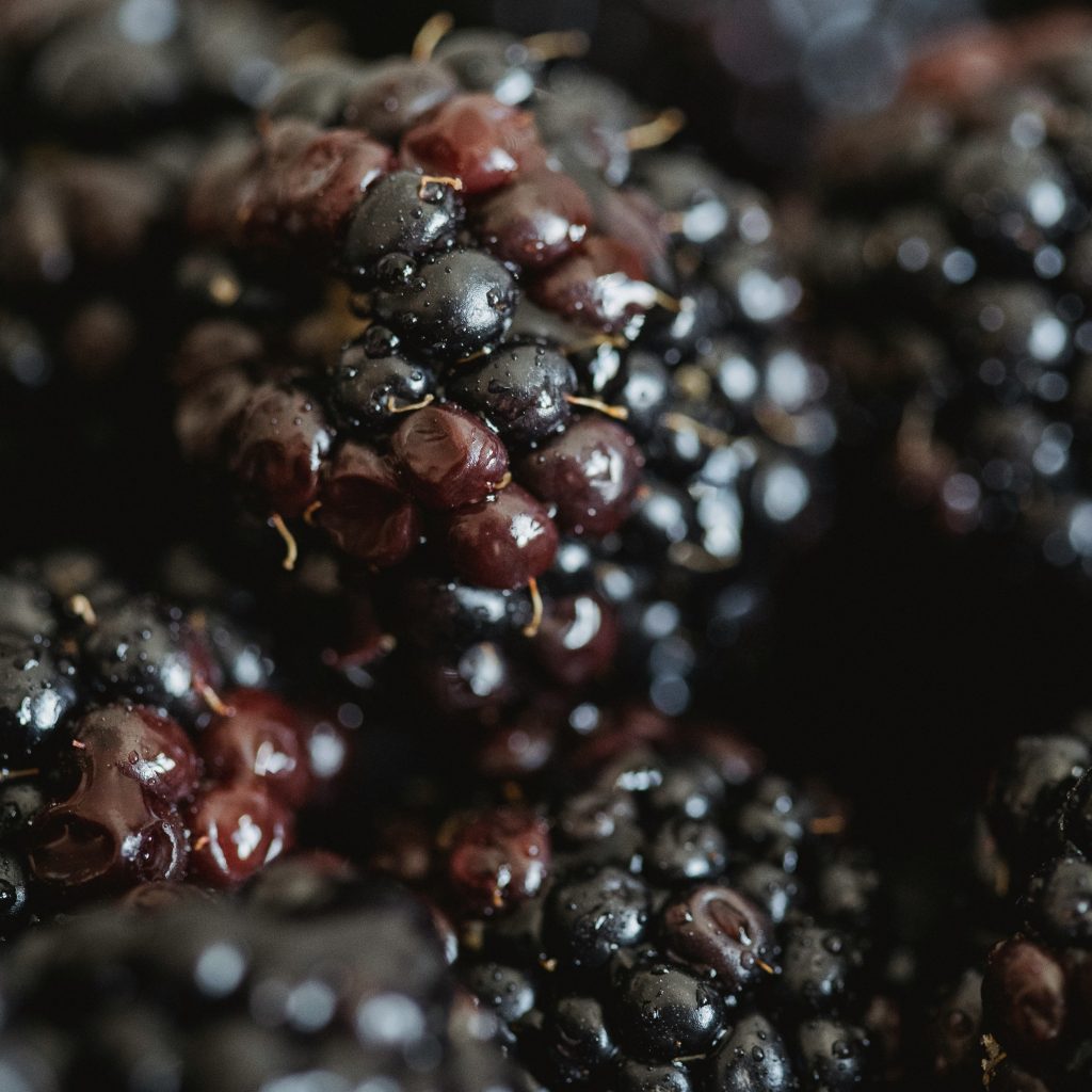 Autumnal treasures