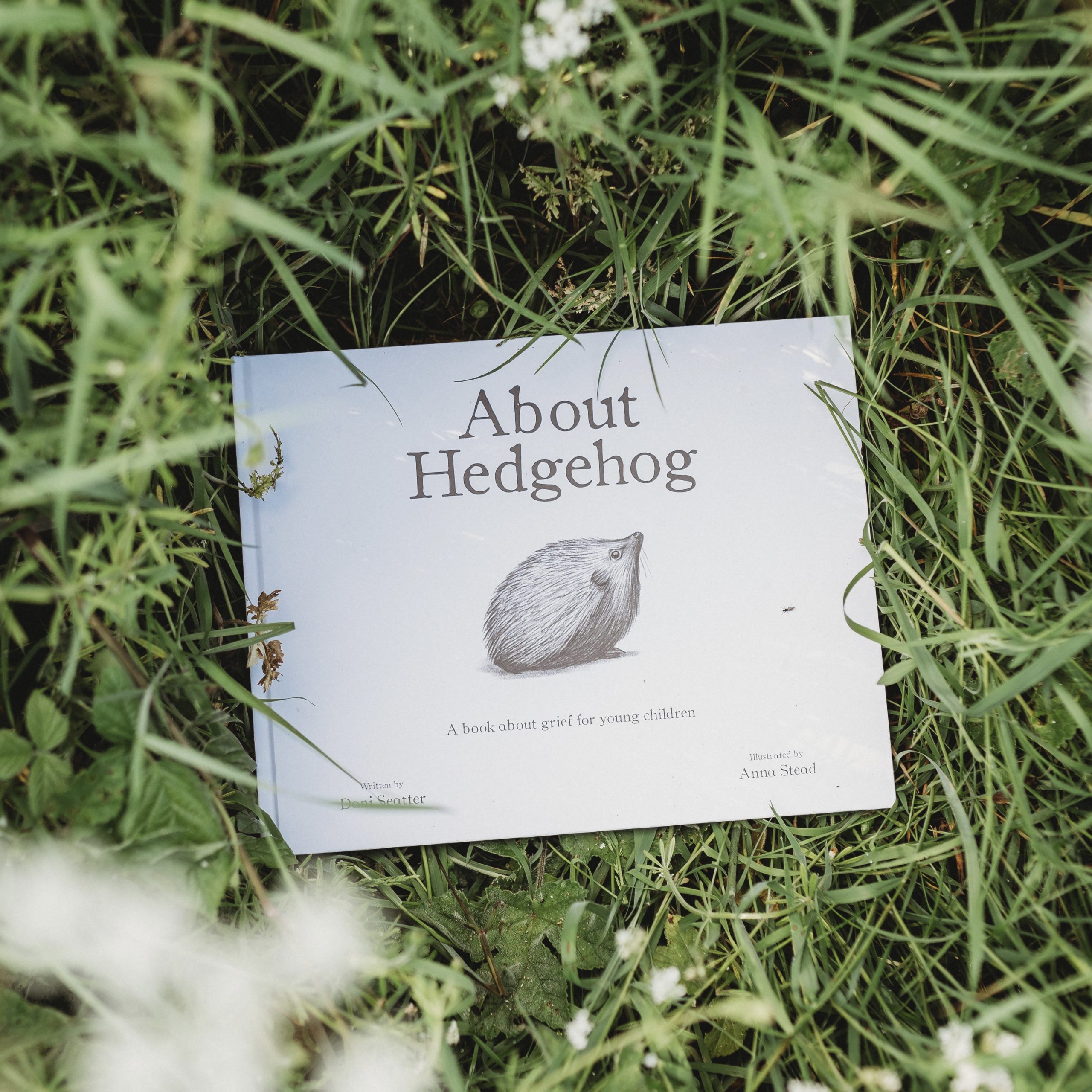 About Hedgehog