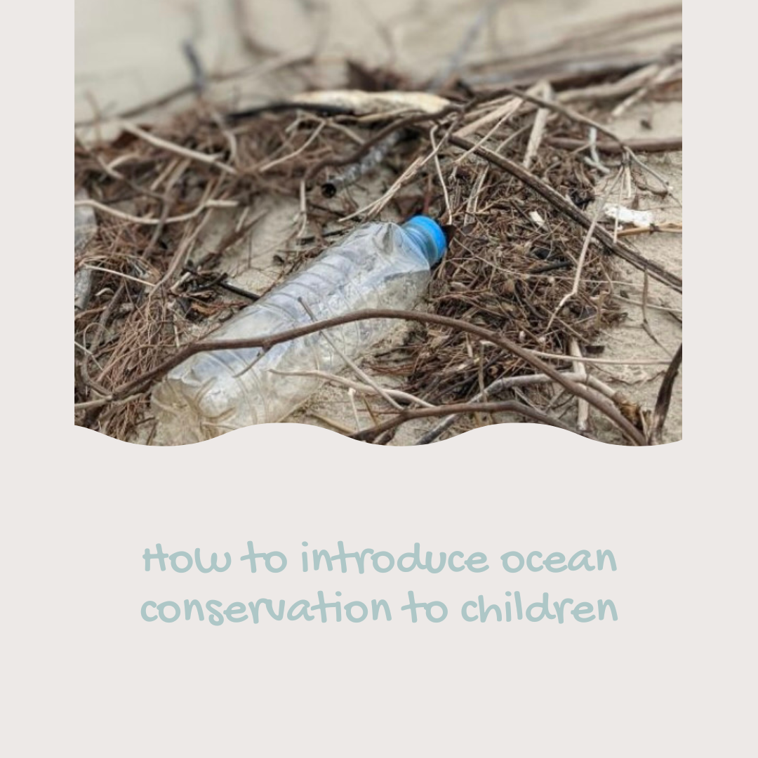 How to introduce ocean conservation to children