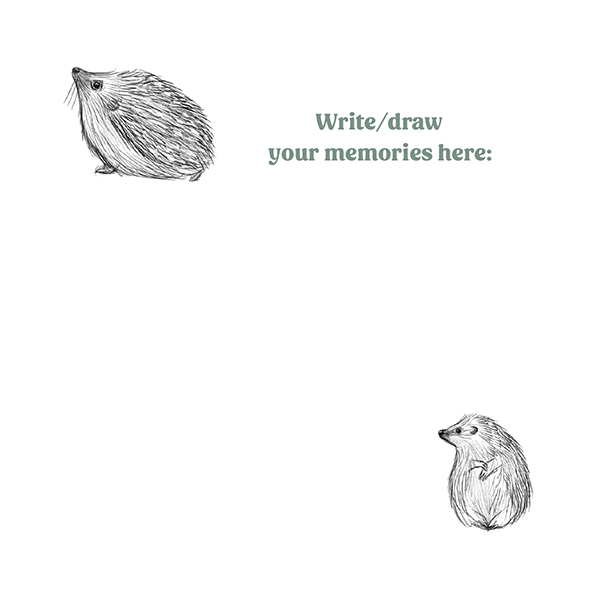 About Hedgehog Memories Page