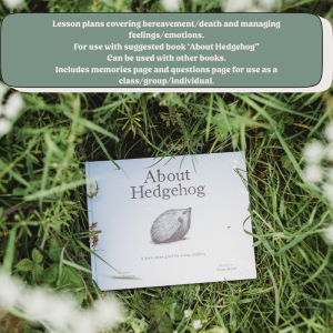 Bereavement lesson plans