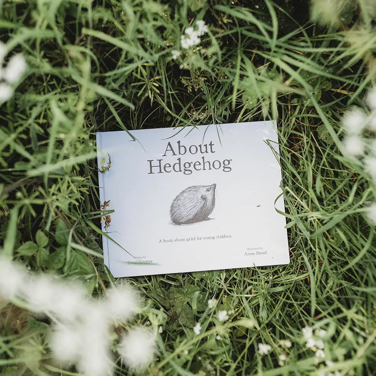 About Hedgehog bereavement book cover