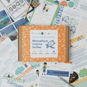 Marvellous Marine Turtles eco activity kits