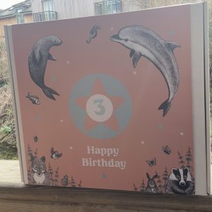 3rd birthday gift box